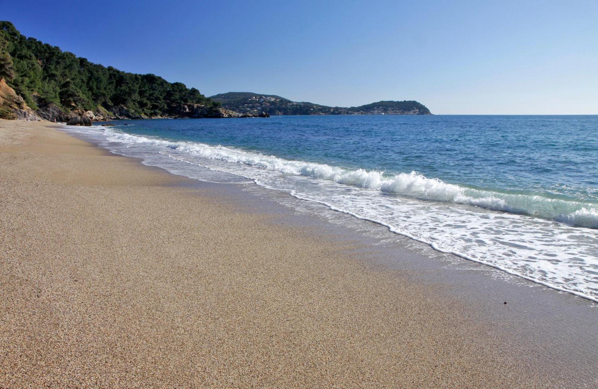 A Deux Pas De La Plage De Sable Le Pradet Exterior foto